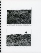 Report (page 29, site images)