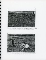 Report (page 30, site images)