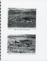 Report (page 31, site images)