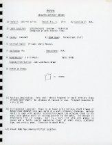 Report (page 8, artifact record)