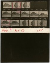 Print, Photographic (front)