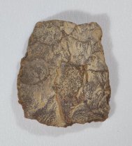 Scraper, Hide Side 1