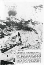 Cambria Plant in Winter ("Sharp Bits" Page 19)