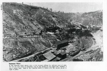 Cambria Plant in Summer ("Sharp Bits" Page 20)