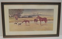 Untitled - Horses and dogs