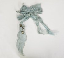 Blue Ribbon wtih "BUD" for Bud Sutherland