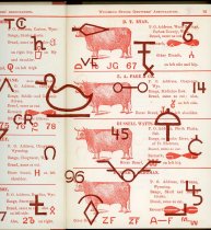 "North From Texas" Endpapers