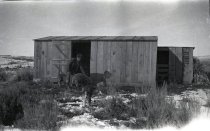 Dewey Thompson on his Homestead -- Bertha, WY