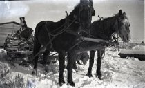 Dewey Thompson's Sled with Firewood
