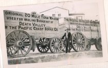 20 Mule Team Wagon in Death Valley, CA
