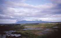 Birds eye view of Vietnam rice paddys and mtn range