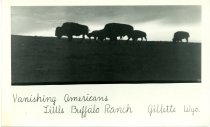 Vanishing Americans, Little Buffalo Ranch