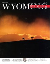 Wyoming Wildlife Vol. 83, No. 8