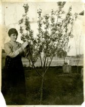 Alice Wright Spielman