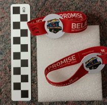 Wristband Camporee passes