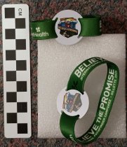 Wristband Camporee passes