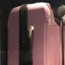 Tracey Wolsko Pink suitcase