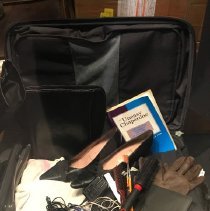 Maryann Bruce Suitcase