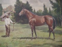 Detail, print and paint