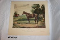 1970.1.9 - Print - "Vagrancy"