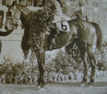 Johnstown at the Kentucky Derby
