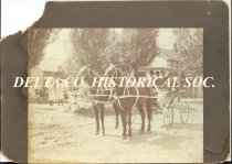 Kaufmann family carriage and team