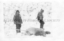 Death of the polar bear in Eskimo movie