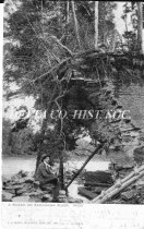 Scene on the Escanaba River