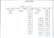 Cover" Bergman, Kayser, Pigeon