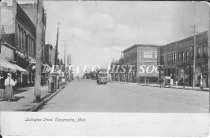 600 and 700 blocks of Ludington Street