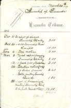 Escanaba Tribune Invoice, 1877