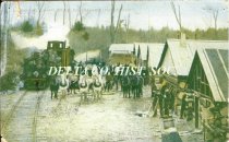 Logging camp near Escanaba, Michigan