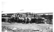 Sawmill crew with teams of horses