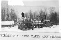 Men loading pine logs in winter