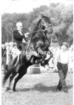 Rev. Karl Hammar on horseback
