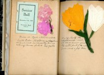 Sample page, Alfred Lawrence scrapbook