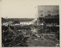 Clean up Boney Falls 1930's