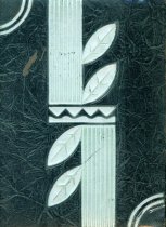 Cover, Mellicent Stegath's photo album