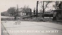 Taking down large tree on 12th Street , 12