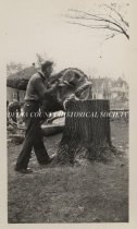 Taking down large tree on 12th Street, 8