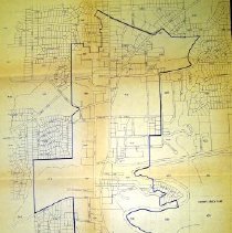 Roswell Citywide Lot Map