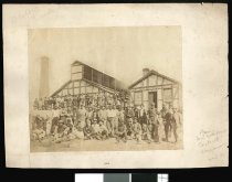 Boiling Down Works staff, Washdyke