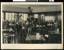 Caroline Bay tearooms