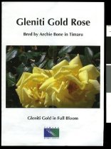 Gleniti Gold Rose