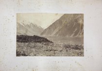 #7 - 'Bush up Tasman'