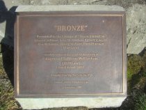 'Bronze' Timaru