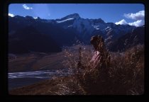 Unidentified woman, Mount Cook Station