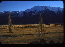 Scenic view, Mount Cook Station