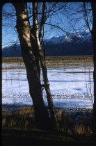 Scenic view, Mount Cook Station