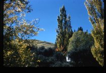 Autumn on Mt Cook Station